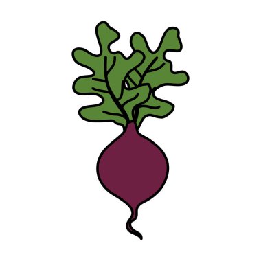 taze patlıcan sebze simge vektör çizim tasarım