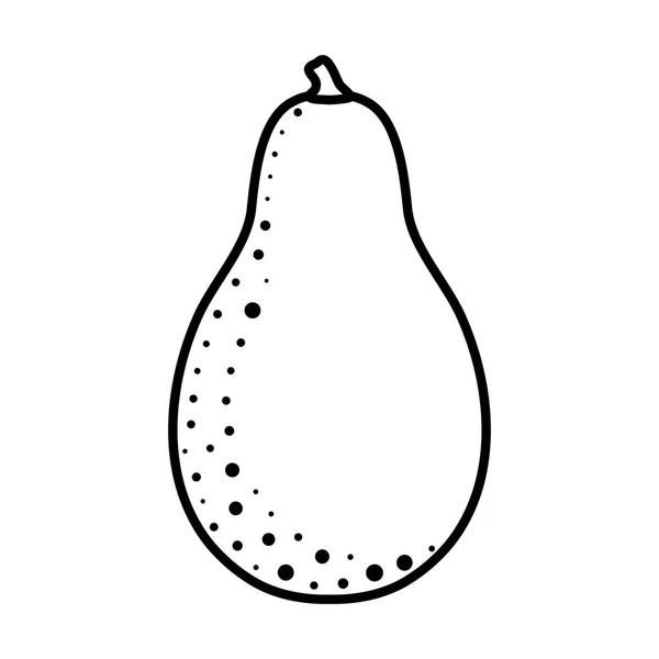 Икона свежих овощей авокадо — стоковый вектор