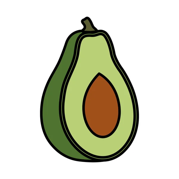 Fresh avocado vegetable icon — Stock Vector