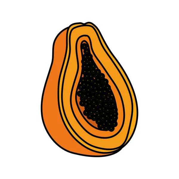 Papayo fresh fruit icon — Stock Vector