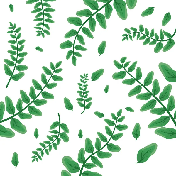 나뭇잎 자연 분기 단풍 배경 — 스톡 벡터