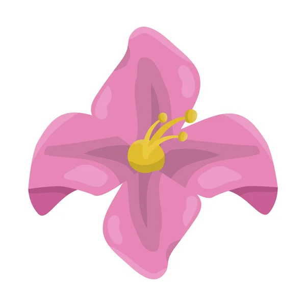 Přírodní Krása květin — Stockový vektor