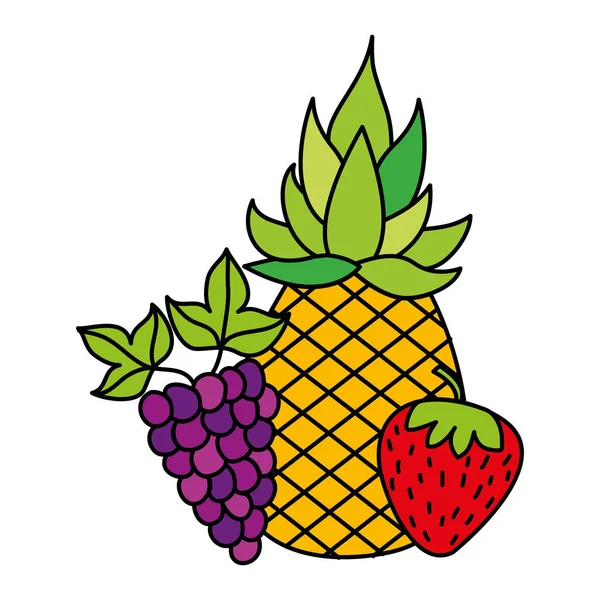Fruit vers biologisch — Stockvector