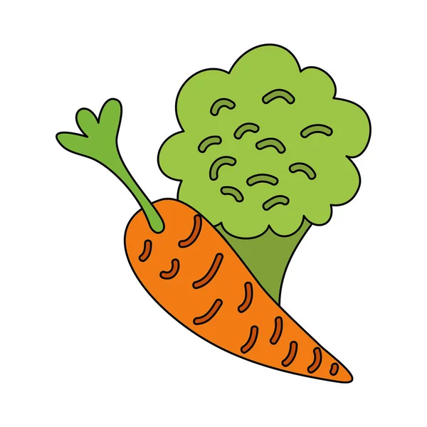 Brócolis e cenoura fresca sobre fundo branco — Vetor de Stock