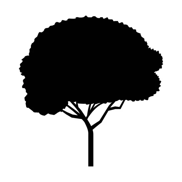 Árbol naturaleza paisaje — Vector de stock