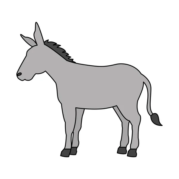 驴卡通动物野生动物 — 图库矢量图片