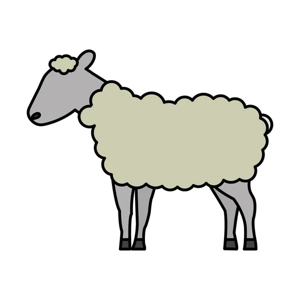 sheep cartoon animal wild life