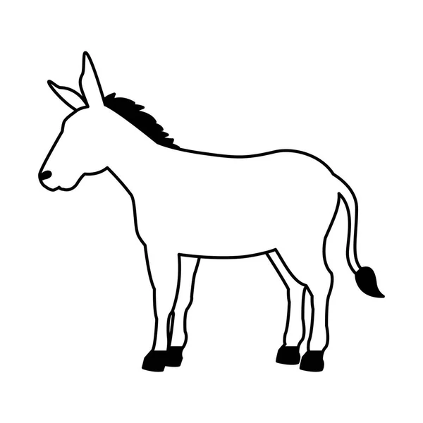 Donkey cartoon animal wild life — Stock Vector