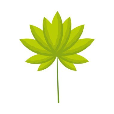 Beyaz arka plan üzerinde tropikal yaprak