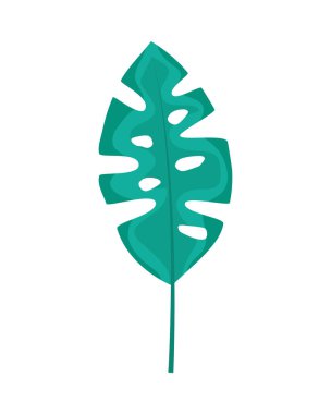 Beyaz arka plan üzerinde tropikal yaprak palm