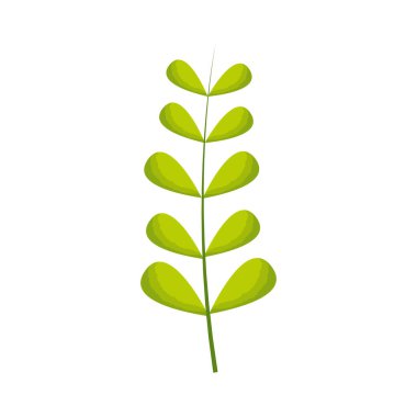 doğal tropikal yaprak yeşil şube