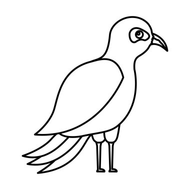 Beyaz arka plan üzerinde tropik kuş