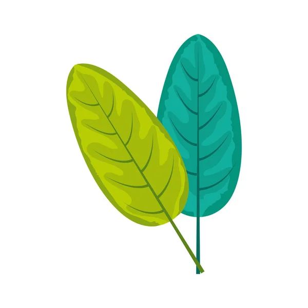 Πράσινα φύλλα τροπικό σε λευκό φόντο — Διανυσματικό Αρχείο