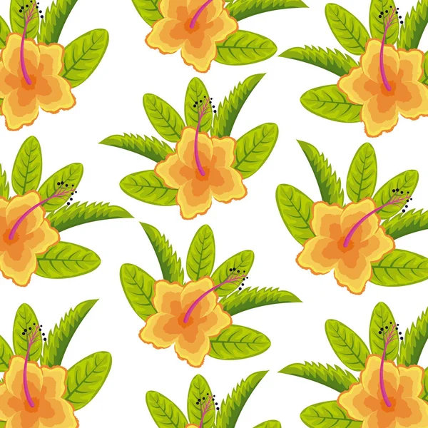 Цветочный гибискус экзотические листья тропического фона — стоковый вектор