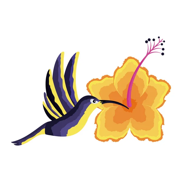 Colibrí volando flor tropical — Vector de stock