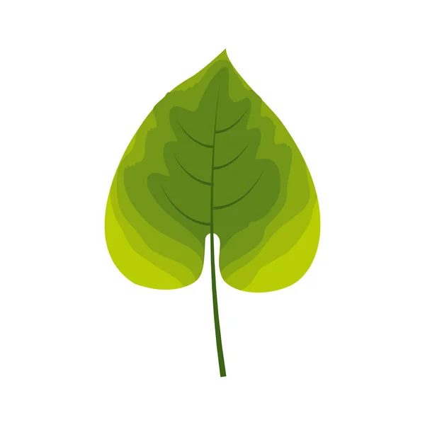 Groene blad tropische op witte achtergrond — Stockvector