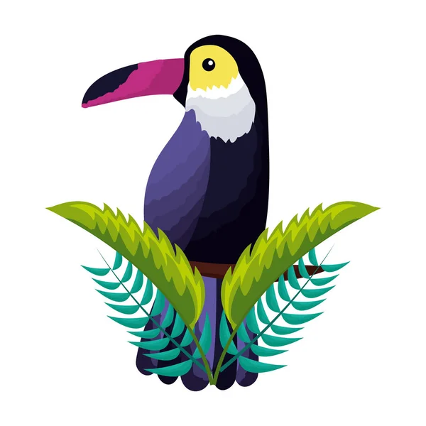 Exotic toucan bird leaves tropical — Stock Vector