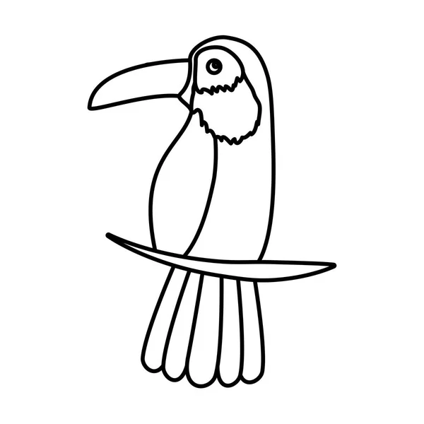 Exótico tucán ave tropical — Vector de stock