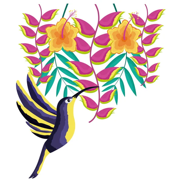 Colibrì fiori tropicali — Vettoriale Stock