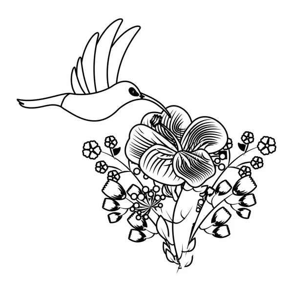 Kolibri madár virág trópusi — Stock Vector