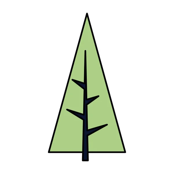 白い背景の上の松の木の植物 — ストックベクタ