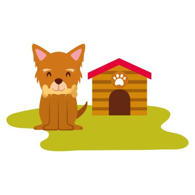 yerli köpek evi ve kemik ile