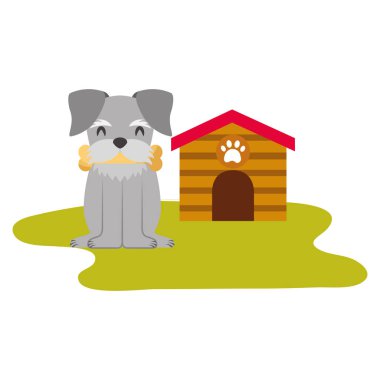yerli köpek evi ve kemik ile