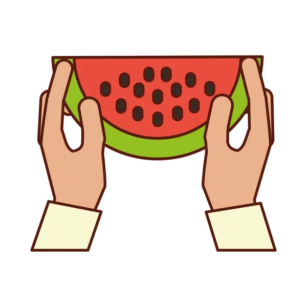 Hands holding watermelon — Stock Vector