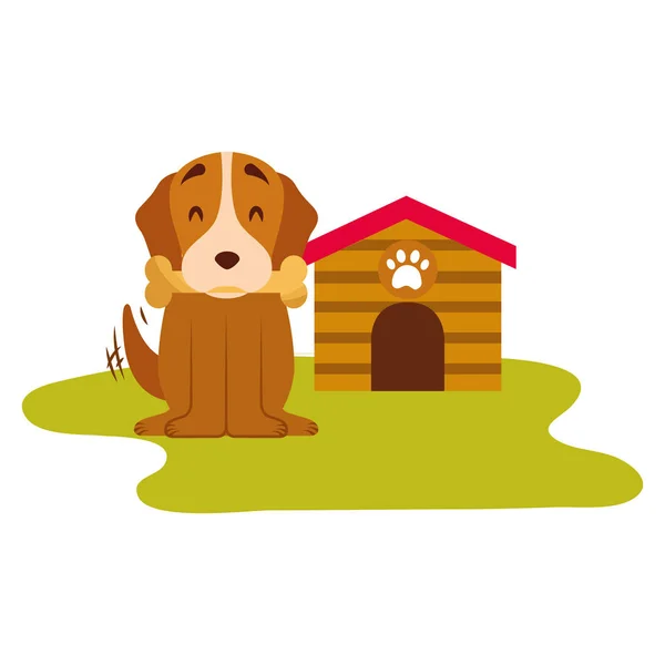 Perro doméstico con casa y hueso — Vector de stock