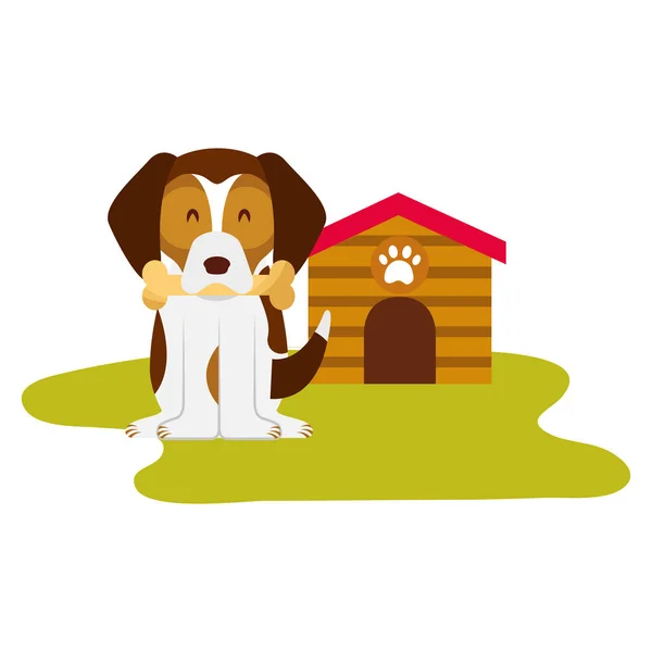 Perro doméstico con casa y hueso — Vector de stock