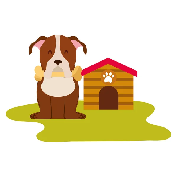 Οι εγχώριες σκύλος με σπίτι και των οστών — Διανυσματικό Αρχείο