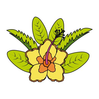 palmiye anlaşma Tropikal Hibiscus çiçek yaprakları