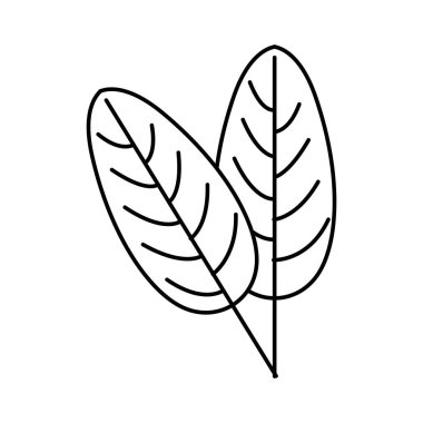 beyaz zemin üzerine yeşil tropikal yaprak