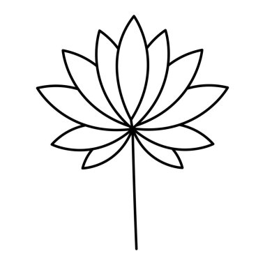 Beyaz arka plan üzerinde tropikal yaprak