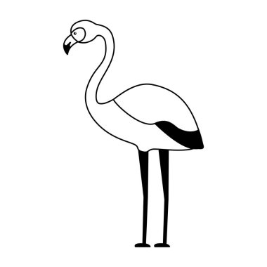 egzotik flamingo kuşu tropikal yaprak