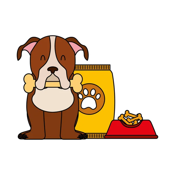 食品の国内犬 — ストックベクタ