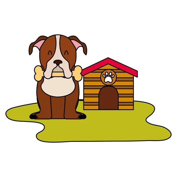 Perro doméstico con casa y hueso — Vector de stock