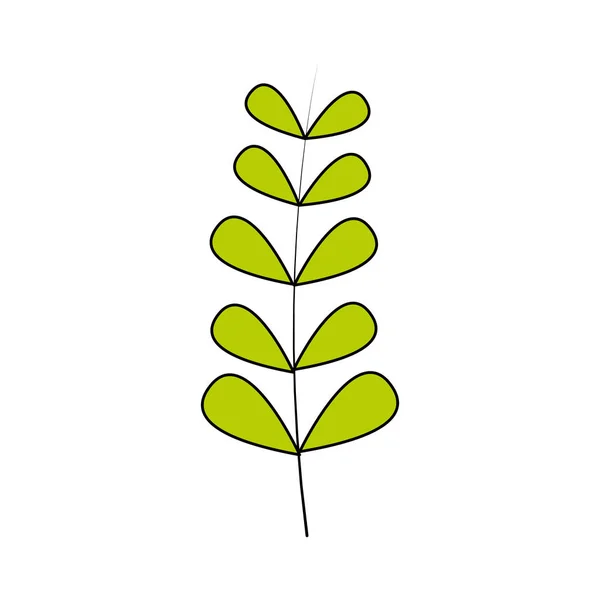 Gröna grenen lämnar naturliga tropiska — Stock vektor