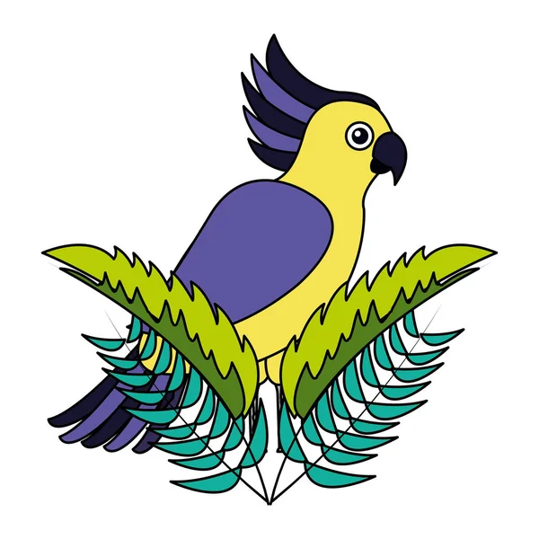 Какаду экзотическая птица покидает тропический лес — стоковый вектор