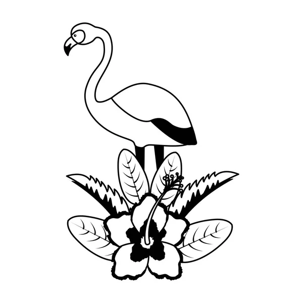 Egzotik flamingo kuşu tropikal yaprak — Stok Vektör