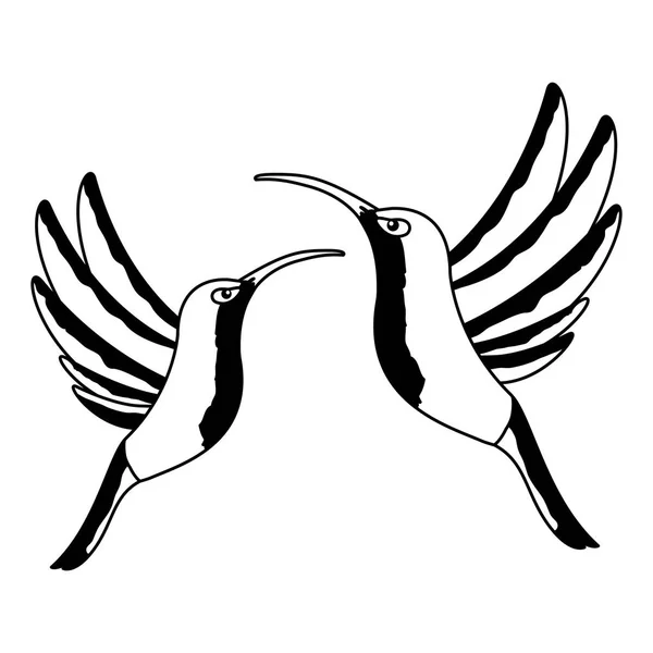 Kolibris fliegen tropisch auf weißem Hintergrund — Stockvektor