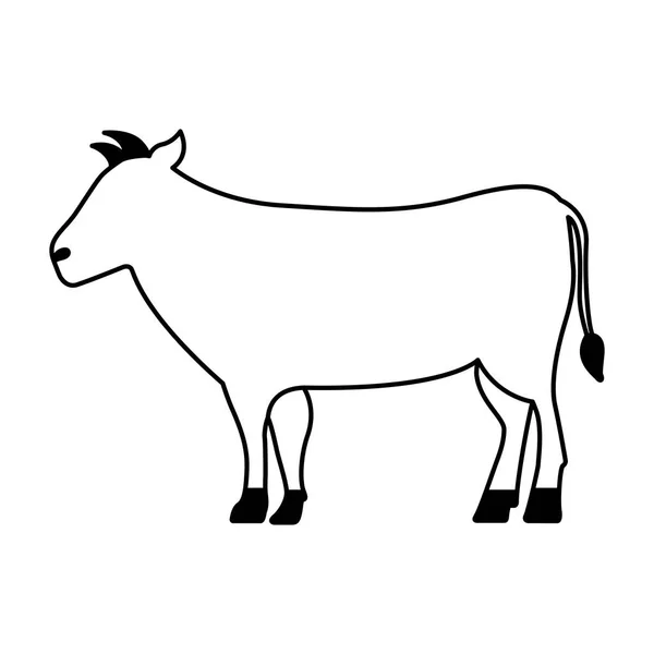 Cow cartoon animal wild life — Stock Vector