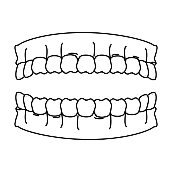 Ανθρώπινα δόντια απομονωμένες εικονίδιο — Διανυσματικό Αρχείο