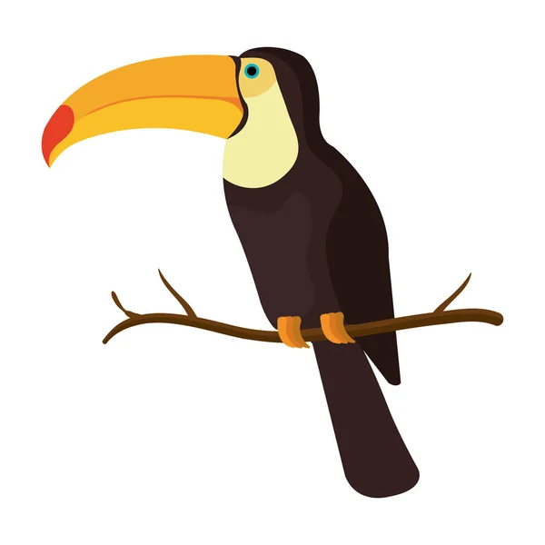 Tukan exotische Vogel-Ikone — Stockvektor
