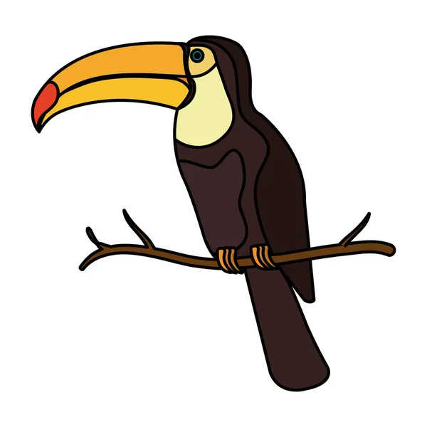 Toucan exotic bird icon — Stock Vector