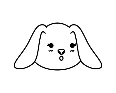 sevimli tavşan baş karakter