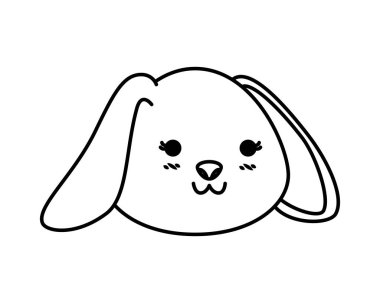 sevimli tavşan baş karakter