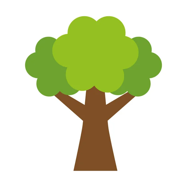 Las drzewny natura — Wektor stockowy