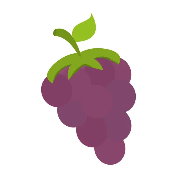 Uvas frescas de frutas — Vector de stock