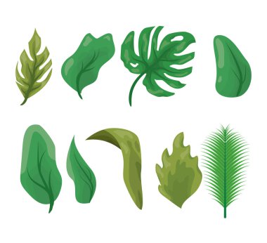 Bitki örtüsü yaprakları